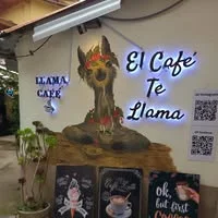llama cafe